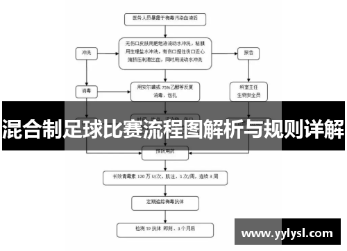 混合制足球比赛流程图解析与规则详解